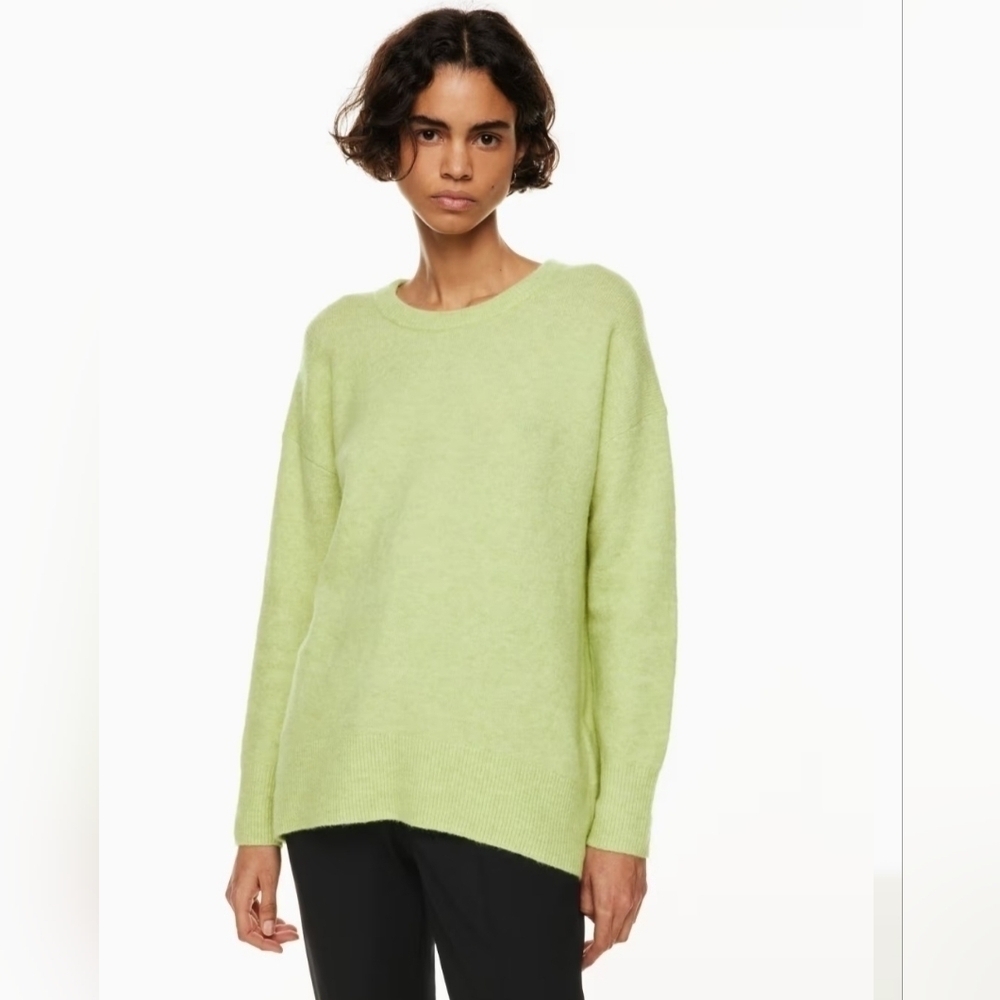 ARITZIA THE GROUP BABATON Size Medium Palm Green Oversized Women's Wool Blend